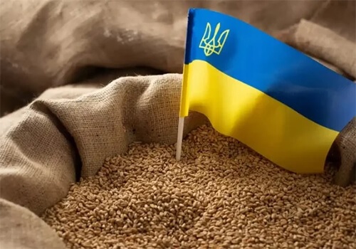 Еврокомиссар по торговле внес представление о продлении запрета на импорт украинского зерна
