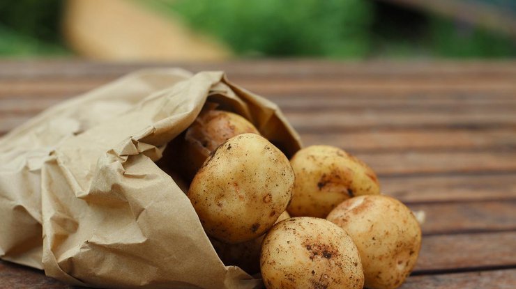 Ціни на картоплю в Україні: чого очікувати восени