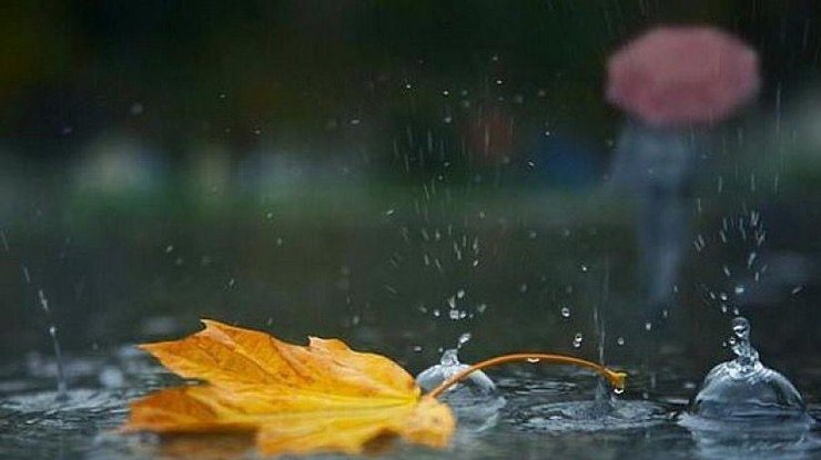 Погода в Україні 3 вересня: де пройдуть дощі