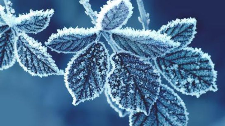 Морозно та вітряно: синоптики дали прогноз погоди на 23 листопада 