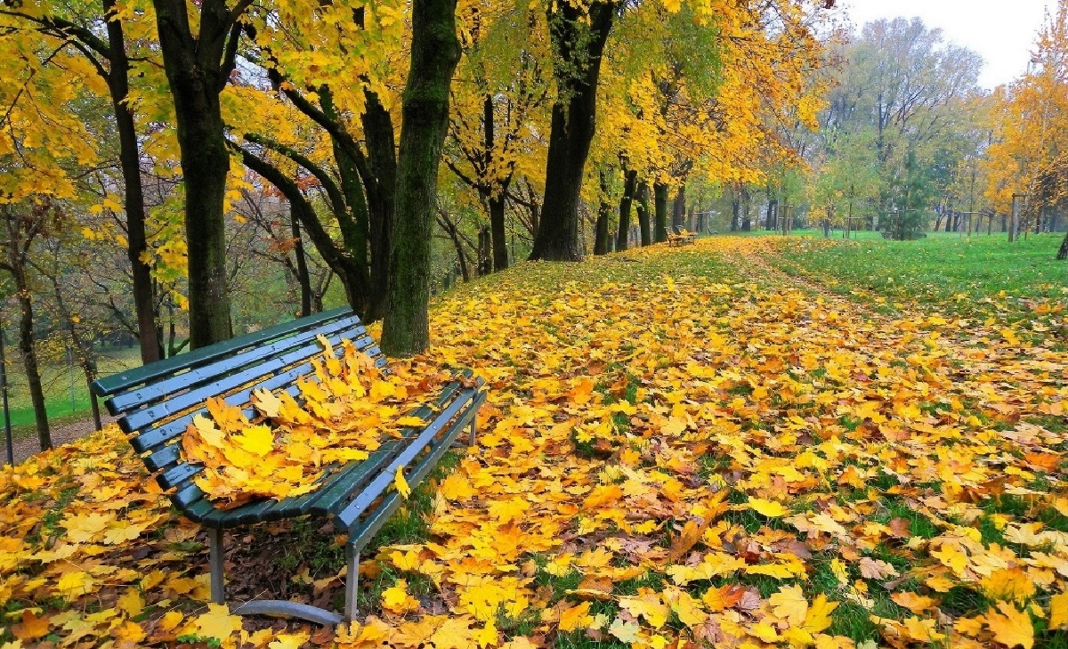 Осень,
