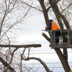 Сборная Косова обжалует в суде свое техническое поражение