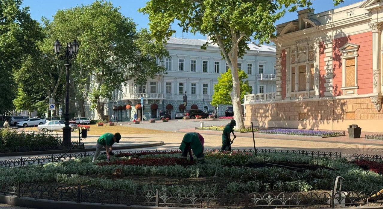 клумбы в Одессе готовят к лету