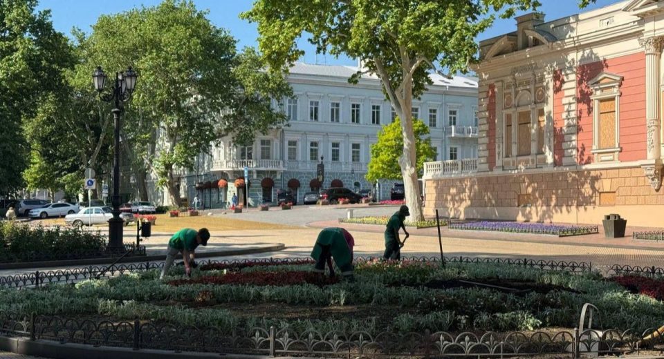 клумбы в Одессе готовят к лету
