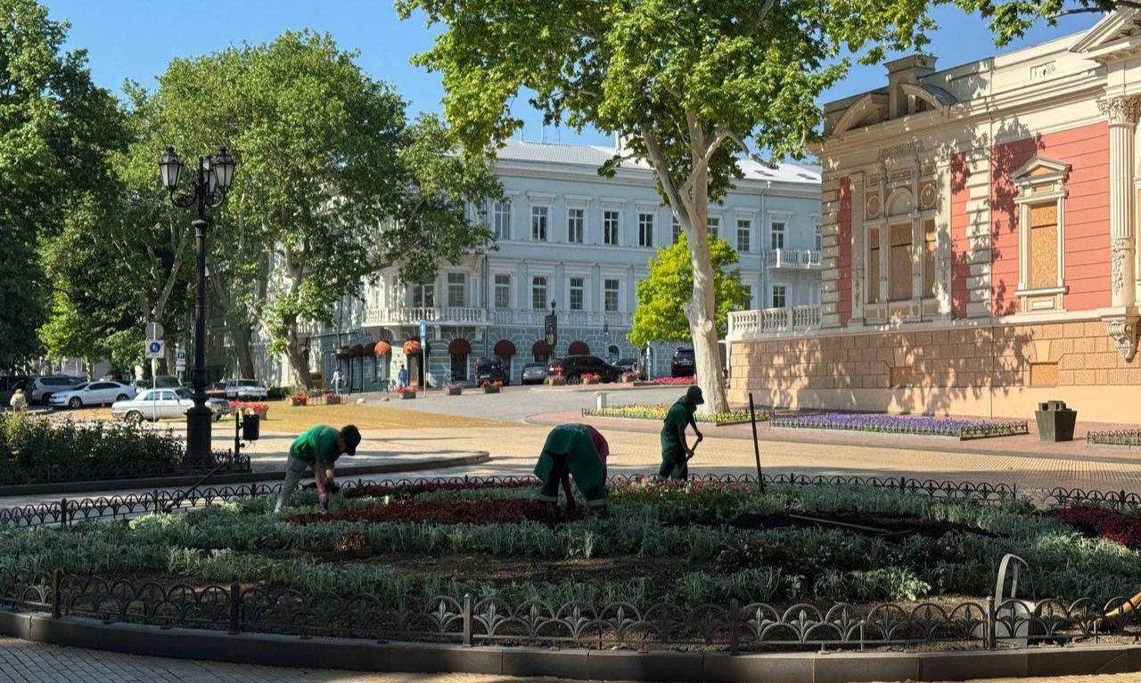 клумбы в Одессе готовят к лету