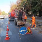 Хто така Леся Карнаух — нова очільниця Державної податкової служби України