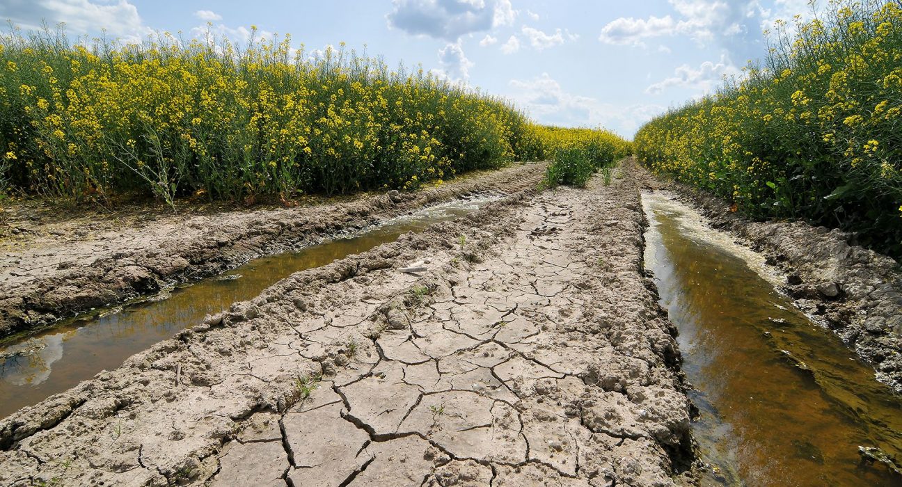 Засуха в Україні 2025