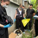 Магнітні бурі в Україні 20 червня 2025 року: прогноз по регіонах і поради для здоров’я