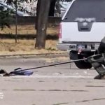 Де і коли дивитись відео трансляцію церемонії зважування Усика та Дюбуа 2025