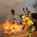 Україна запускає серійне виробництво крилатих ракет «Фламінго» з дальністю 3000 км