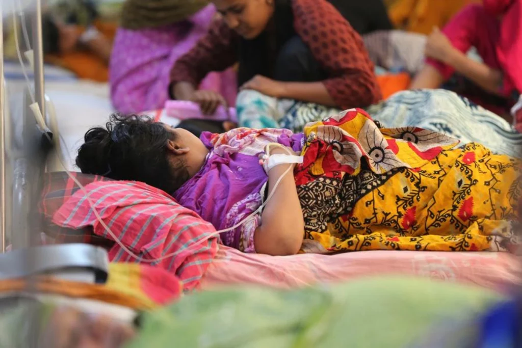 Rekordausbruch von Dengue in Bangladesch: Was bekannt ist