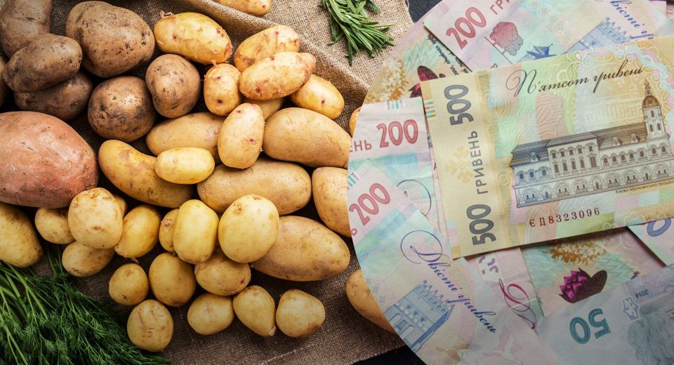В Україні дешевшає картопля: ціни падають на 10%