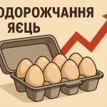Нумерологічний гороскоп на сьогодні: прогноз для всіх на 29 вересня 2025