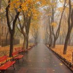 Гороскоп 17 жовтня — ризикуйте сміливо, але з розумом. Яким знакам пощастить у коханні?