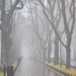 Магнітна буря 15 листопада: що очікувати і як це вплине на ваше самопочуття