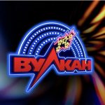 Ялинкові базари Одеси 2025: коли відкриються та де купити ялинку