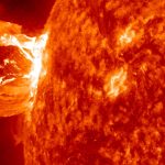 Какой декор женских сумок будет модным в 2026 году