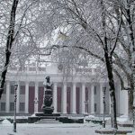 Чи заборонять породи котів із загнутими вухами та безшерстних в Україні? Нідерланди вже вводять обмеження на шотландських висловухих і сфінксів
