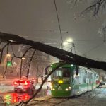 Чим краще посипати доріжки взимку під час ожеледиці: альтернатива солі та піску