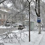 Китайський гороскоп на січень 2026: кому пощастить на старті року