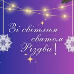 Чи заборонять породи котів із загнутими вухами та безшерстних в Україні? Нідерланди вже вводять обмеження на шотландських висловухих і сфінксів