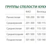 Гороскоп Таро на січень 2026: що обіцяють карти кожному знаку Зодіаку