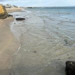 Прожите горе: які зміни вказують на внутрішнє відновлення