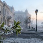 Де дивитися «Супермама» 11 сезон 9 випуск: будні на фермі мами-господині Каті