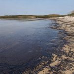 Євробачення-2026 у Відні: коли виступають учасники та де дивитися шоу