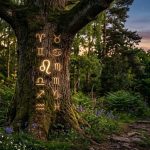 Іменини 22 червня 2026: кого привітати з Днем ангела і які короткі побажання написати українською