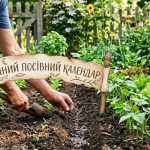 Погода в липні 2026 в Україні: Укргідрометцентр попередив про аномальну спеку та дефіцит опадів