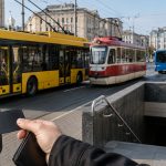 Що посіяти наприкінці липня в Одесі: овочі та зелень, які ще встигнуть дати врожай