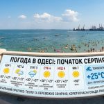 Прикмети серпня про осінь і зиму: що означають роса, павутиння та поведінка ластівок