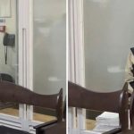 Магнітні бурі 7–8 вересня 2026: актуальний прогноз і прості поради на два дні