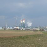 Осінні канікули в Одесі 2026: 6 дитячих вистав в Опері — прем’єра «Карнавалу тварин», дати і ціни квитків