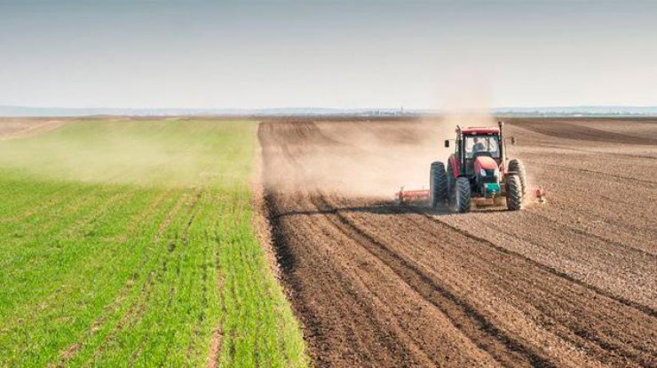 Українським фермерам надаватимуть компенсацію за страховку врожаю