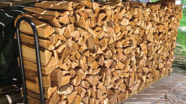 "Дефіциту дров не буде": міністр природних ресурсів розповів про заготівлю палива на зиму (відео)